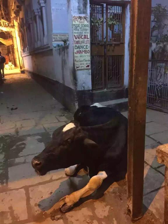 Paradise Inn Guest House Varanasi Luaran gambar