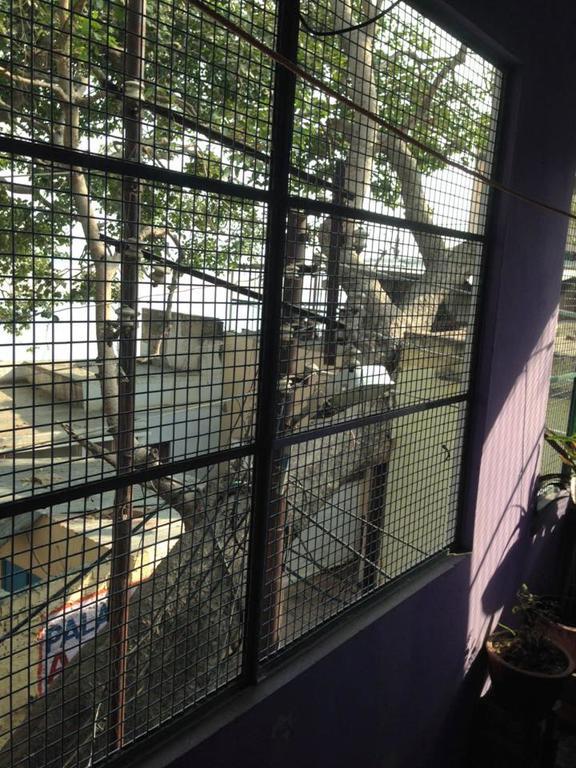 Paradise Inn Guest House Varanasi Bilik gambar